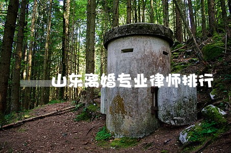山东离婚专业律师排行 山东离婚专业律师排行