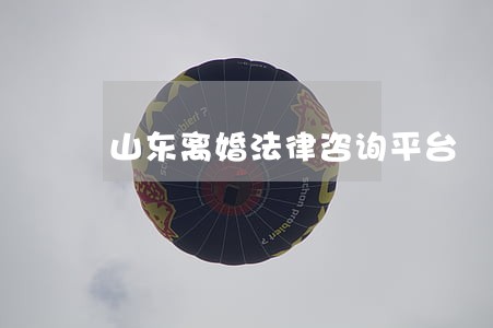 山东离婚法律咨询平台 山东离婚法律咨询平台