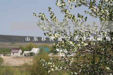 山东移民留学法律咨询热线 山东移民留学法律咨询热线