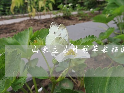 山东立法计划草案征民意 山东立法计划草案征民意