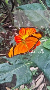 山东章丘区人身伤害律师咋收费 山东章丘区人身伤害律师咋收费