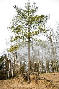 山东章丘区征地拆迁律师 山东章丘区征地拆迁律师