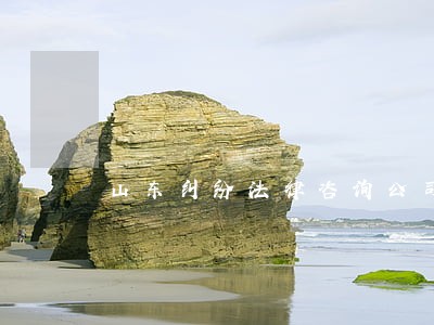 山东纠纷法律咨询公司 山东纠纷法律咨询公司
