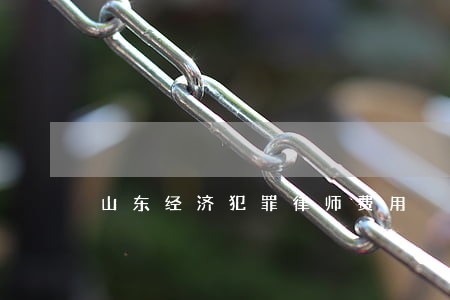 山东经济犯罪律师费用 山东经济犯罪律师费用