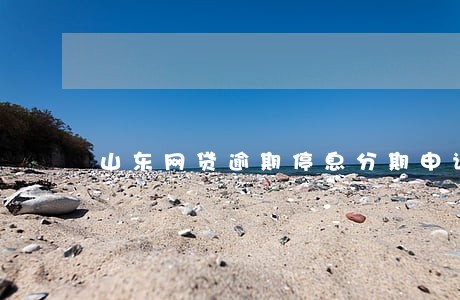 山东网贷逾期停息分期申请条件 山东网贷逾期停息分期申请条件