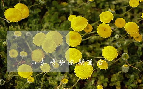 山东网贷逾期通告 山东网贷逾期通告