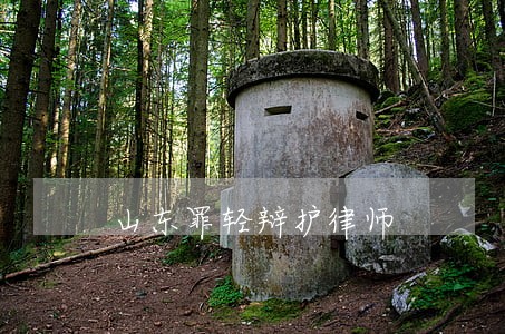 山东罪轻辩护律师 山东罪轻辩护律师