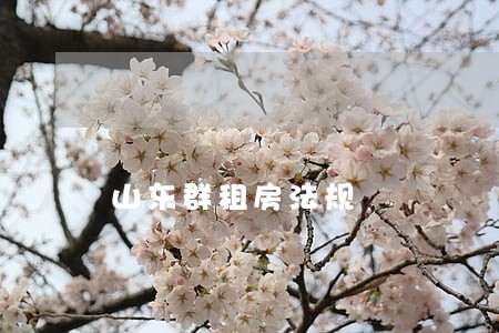山东群租房法规 山东群租房法规
