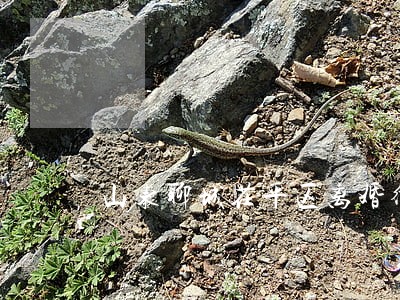 山东聊城茌平区离婚律师 山东聊城茌平区离婚律师