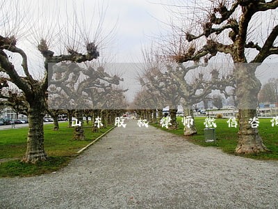 山东股权律师微信咨询 山东股权律师微信咨询