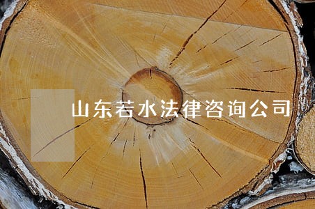 山东若水法律咨询公司 山东若水法律咨询公司