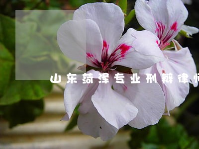 山东菏泽专业刑辩律师 山东菏泽专业刑辩律师