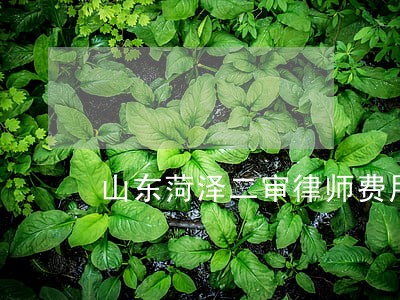 山东菏泽二审律师费用