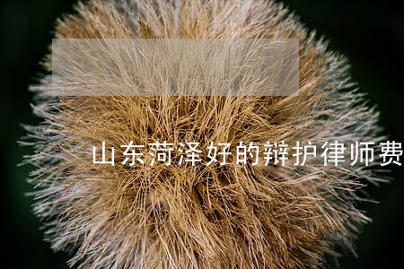 山东菏泽好的辩护律师费 山东菏泽好的辩护律师费