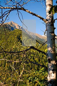山东行周律师事务所专业律师 山东行周律师事务所专业律师