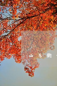 山东衡信司法鉴定中心电话 山东衡信司法鉴定中心电话