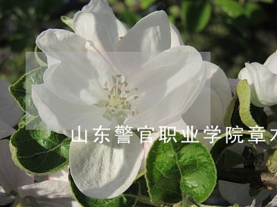 山东警官职业学院章木门 山东警官职业学院章木门