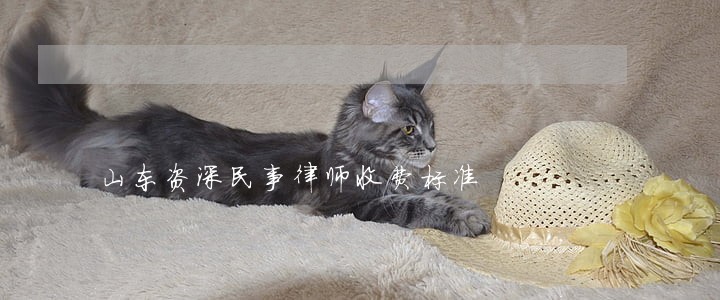 山东资深民事律师收费标准 山东资深民事律师收费标准