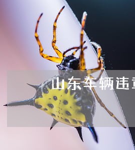 山东车辆违章查询 山东车辆违章查询