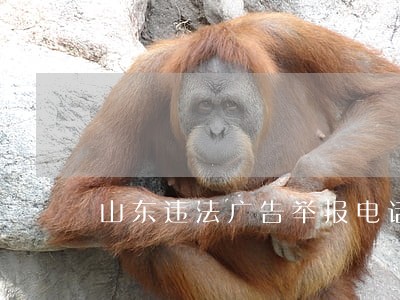 山东违法广告举报电话 山东违法广告举报电话