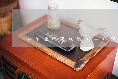 山东违法建筑整治工作经验