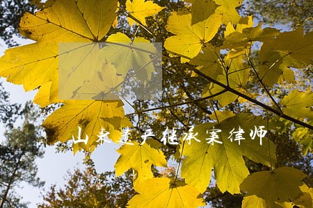 山东遗产继承案律师 山东遗产继承案律师