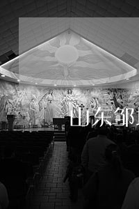 山东邹城政府违法融资 山东邹城政府违法融资