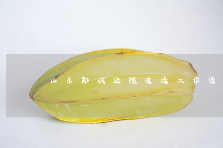 山东郯城法院遴选工作违规 山东郯城法院遴选工作违规