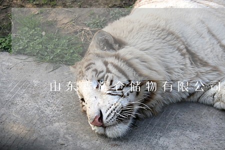 山东鑫辉仓储物有限公司法律诉讼