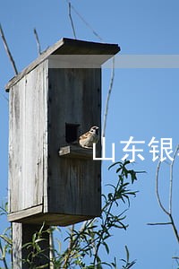 山东银丰司法鉴定中心电话 山东银丰司法鉴定中心电话
