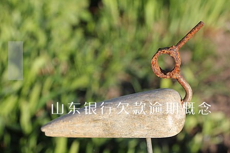 山东银行欠款逾期概念 山东银行欠款逾期概念