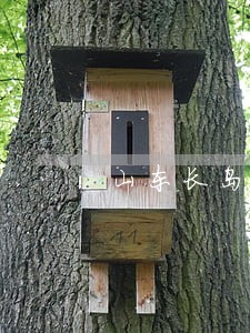 山东长岛司法守护鸟类天堂 山东长岛司法守护鸟类天堂