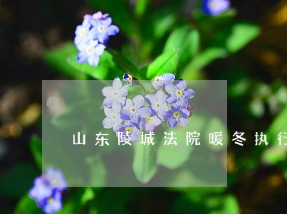 山东陵城法院暖冬执行再出发 山东陵城法院暖冬执行再出发
