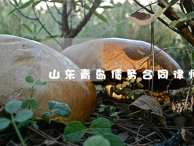 山东青岛债务合同律师推荐 山东青岛债务合同律师推荐