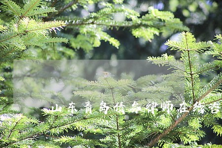 山东青岛债务律师在线咨询 山东青岛债务律师在线咨询