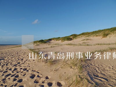 山东青岛刑事业务律师团队 山东青岛刑事业务律师团队