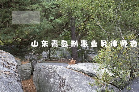 山东青岛刑事业务律师微信咨询 山东青岛刑事业务律师微信咨询