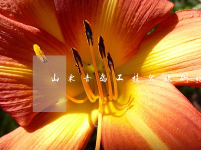 山东青岛工程欠款纠纷律师事务所 山东青岛工程欠款纠纷律师事务所