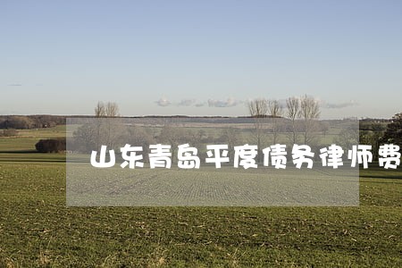 山东青岛平度债务律师费用咨询 山东青岛平度债务律师费用咨询