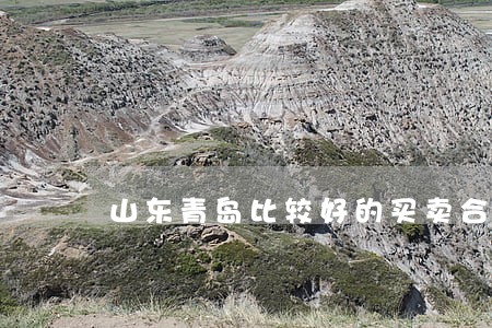 山东青岛比较好的买卖合同律师 山东青岛比较好的买卖合同律师