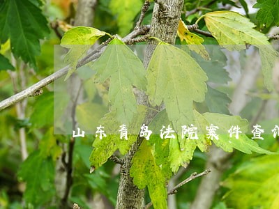 山东青岛法院案件查询 山东青岛法院案件查询