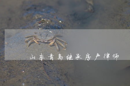 山东青岛继承房产律师 山东青岛继承房产律师