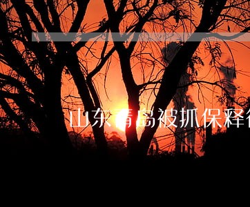 山东青岛被抓保释律师收费 山东青岛被抓保释律师收费