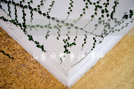 山东顶替事件律师 山东顶替事件律师