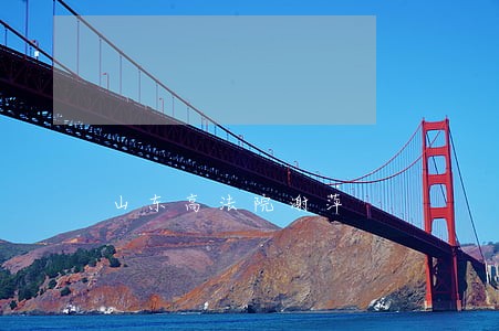 山东高法院谢萍 山东高法院谢萍