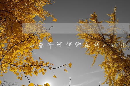 山东齐河律师在线24小时 山东齐河律师在线24小时