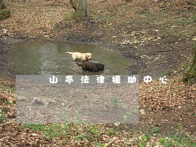 山亭法律援助中心 山亭法律援助中心