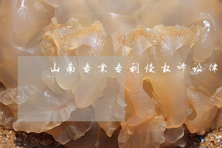山南专业专利侵权诉讼律师 山南专业专利侵权诉讼律师