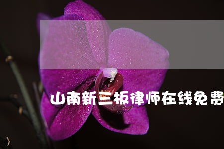 山南新三板律师在线免费咨询