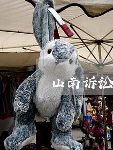 山南诉讼仲裁在线律师 山南诉讼仲裁在线律师